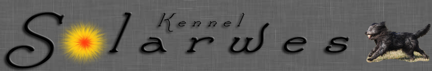 Logo Solarwes